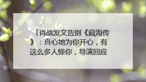 肖战发文告别《藏海传》：真心地为你开心，有这么多人懂你，导演回应“是否有第二季”