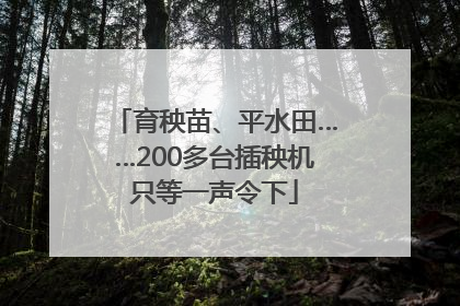 育秧苗、平水田……200多台插秧机只等一声令下