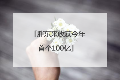 胖东来收获今年首个100亿