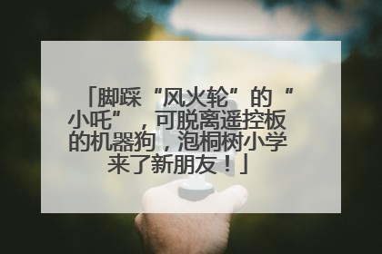 脚踩“风火轮”的“小吒”，可脱离遥控板的机器狗，泡桐树小学来了新朋友！