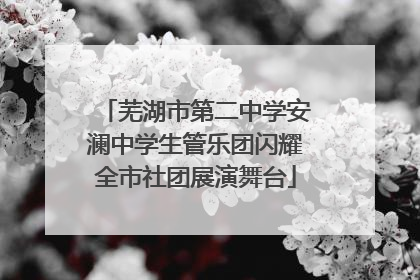 芜湖市第二中学安澜中学生管乐团闪耀全市社团展演舞台