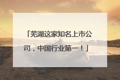 芜湖这家知名上市公司，中国行业第一！