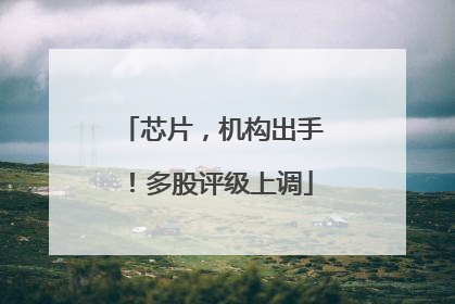 芯片，机构出手！多股评级上调