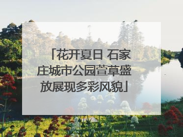 花开夏日 石家庄城市公园萱草盛放展现多彩风貌