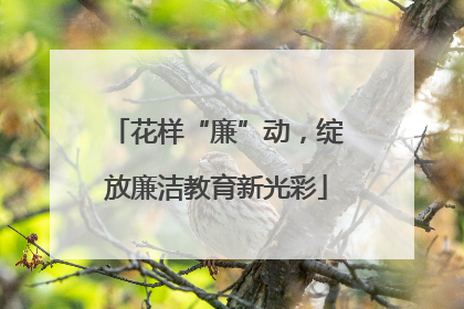 花样“廉”动，绽放廉洁教育新光彩