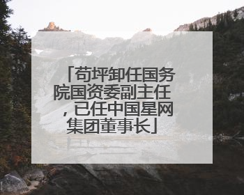 苟坪卸任国务院国资委副主任，已任中国星网集团董事长