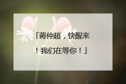 蒋仲超，快醒来！我们在等你！