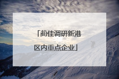 蔺佳调研新港区内重点企业