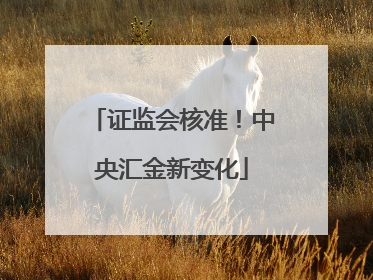 证监会核准！中央汇金新变化