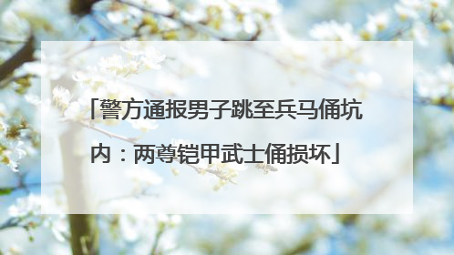 警方通报男子跳至兵马俑坑内：两尊铠甲武士俑损坏