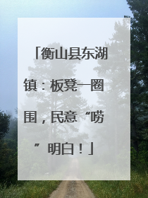 衡山县东湖镇：板凳一圈围，民意“唠”明白！