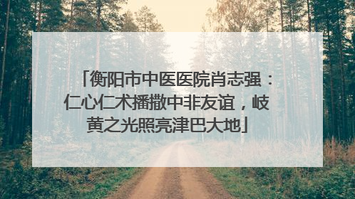 衡阳市中医医院肖志强：仁心仁术播撒中非友谊，岐黄之光照亮津巴大地