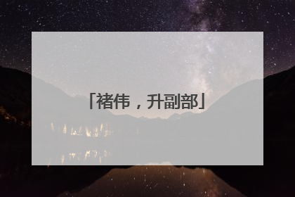 褚伟，升副部