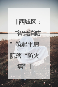 西城区：“智慧消防”筑起平房院落“防火墙”