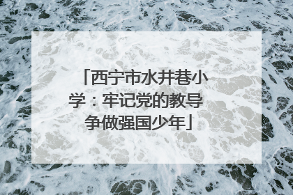 西宁市水井巷小学：牢记党的教导 争做强国少年