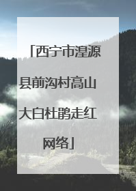 西宁市湟源县前沟村高山大白杜鹃走红网络