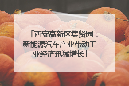 西安高新区集贤园：新能源汽车产业带动工业经济迅猛增长