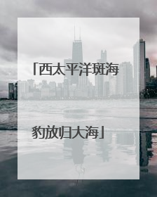 西太平洋斑海豹放归大海