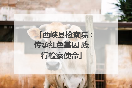 西峡县检察院：传承红色基因 践行检察使命