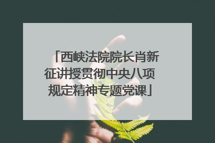 西峡法院院长肖新征讲授贯彻中央八项规定精神专题党课