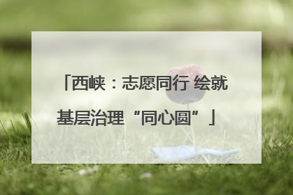 西峡：志愿同行 绘就基层治理“同心圆”