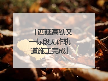 西延高铁又一标段无砟轨道施工完成