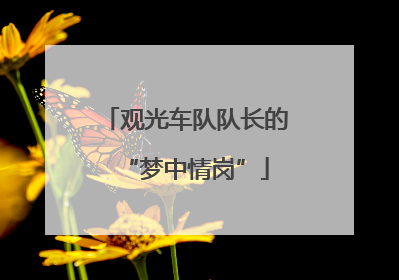 观光车队队长的“梦中情岗”