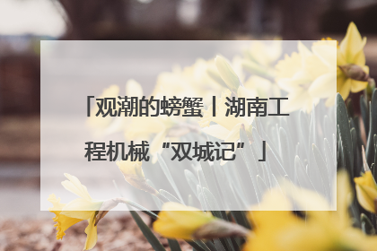观潮的螃蟹丨湖南工程机械“双城记”