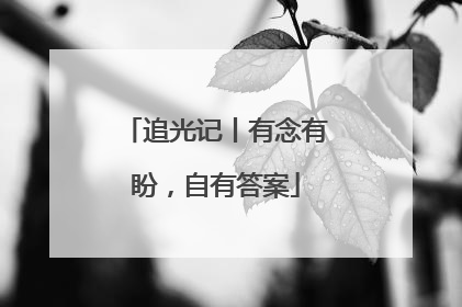 追光记丨有念有盼，自有答案