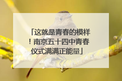 这就是青春的模样！南京五十四中青春仪式满满正能量