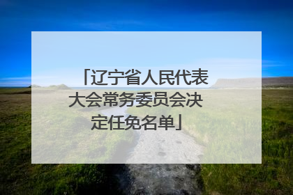 辽宁省人民代表大会常务委员会决定任免名单