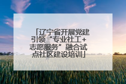 辽宁省开展党建引领“专业社工+志愿服务”融合试点社区建设培训