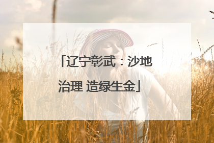 辽宁彰武：沙地治理 造绿生金