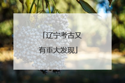 辽宁考古又有重大发现