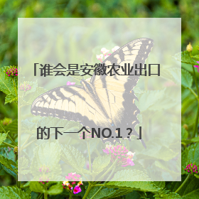 谁会是安徽农业出口的下一个NO.1？