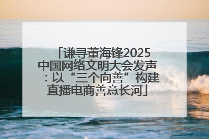 谦寻董海锋2025中国网络文明大会发声：以“三个向善”构建直播电商善意长河