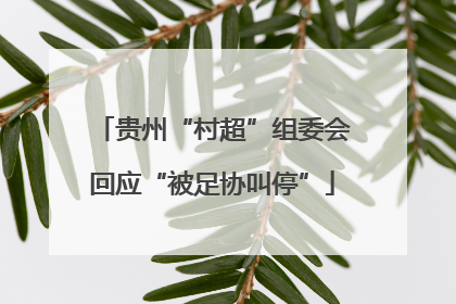 贵州“村超”组委会回应“被足协叫停”