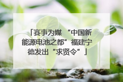 赛事为媒 “中国新能源电池之都”福建宁德发出“求贤令”