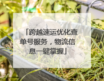 跨越速运优化查单号服务，物流信息一键掌握