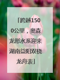 跨越1500公里，奥森龙形水系迎来湖南益阳双桡龙舟表