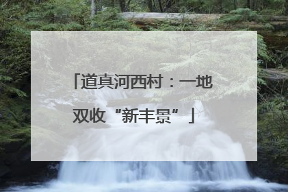道真河西村：一地双收“新丰景”