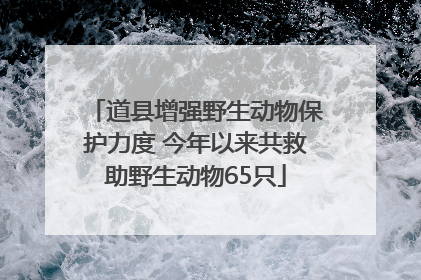 道县增强野生动物保护力度 今年以来共救助野生动物65只