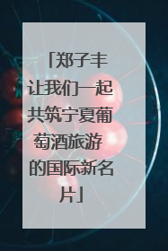 郑子丰 让我们一起共筑宁夏葡萄酒旅游 的国际新名片
