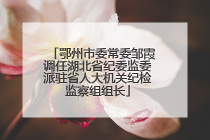鄂州市委常委邹霞调任湖北省纪委监委派驻省人大机关纪检监察组组长
