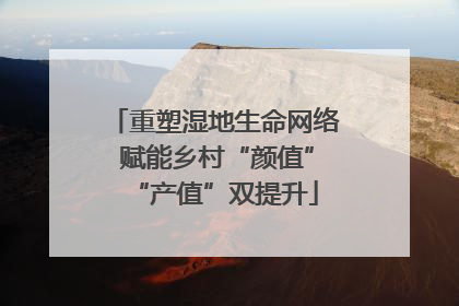 重塑湿地生命网络 赋能乡村“颜值”“产值”双提升