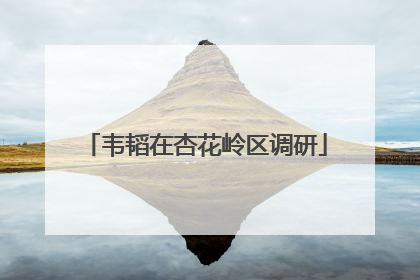 韦韬在杏花岭区调研