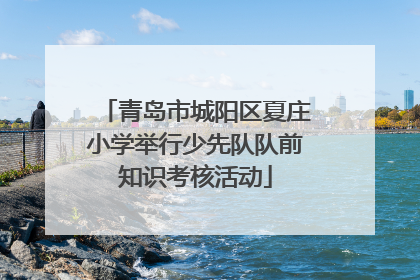 青岛市城阳区夏庄小学举行少先队队前知识考核活动