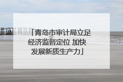 青岛市审计局立足经济监督定位 加快发展新质生产力