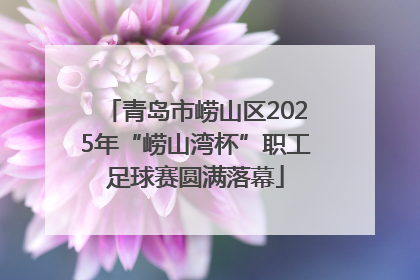 青岛市崂山区2025年“崂山湾杯”职工足球赛圆满落幕