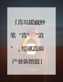 青岛援藏妙笔“青”“清”，绘就高原产业新图景